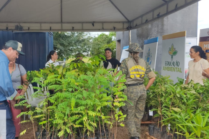 Fundação do Meio Ambiente doa mudas de árvores nativas do Cerrado na