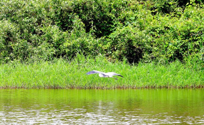Governo do Tocantins promove Oficina de Planejamento da região turística da Ilha do Bananal