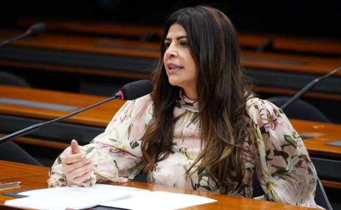 Comissão vai debater implementação do mercado de carbono no Brasil