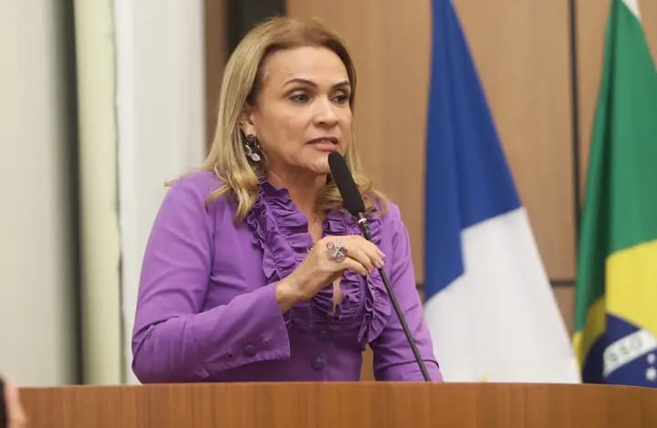 Laudecy Coimbra solicita a inclusão de mais uma linha de ônibus saindo de Taquaralto e passando no setor Flamboyant