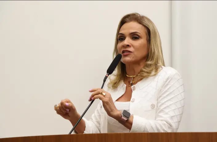 Limpeza e roçagem do Setor Sônia Regina são solicitadas por Laudecy Coimbra