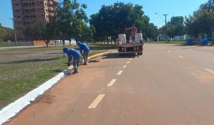 Avenida LO-1, NS-2 e NS-6 recebem pintura de meios-fios