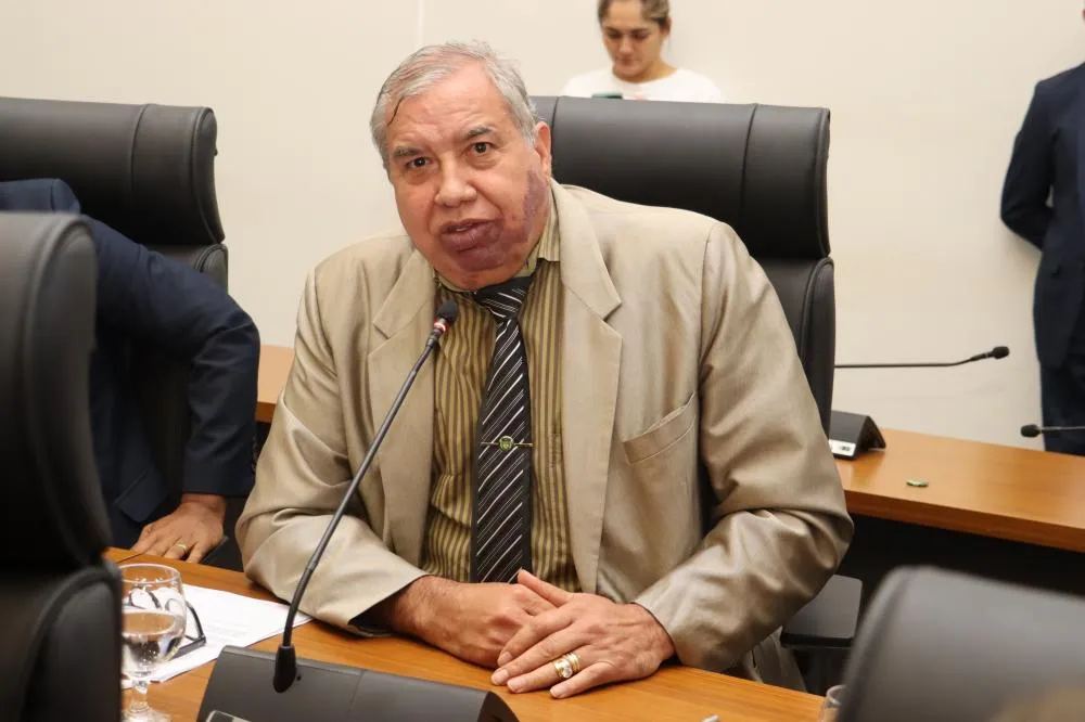 Roçagem nas margens da Avenida NS-01 é solicitada pelo vereador Jucelino Rodrigues