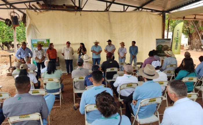 Dia de Campo em propriedade rural de Aliança do Tocantins apresenta resultados da integração lavoura-pecuária