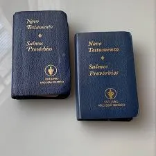 A Importância do Novo Testamento nas Escolas Municipais de Palmas: Fundamentos Constitucionais e Reconhecimento à Iniciativa da Secretaria Municipal de Educação