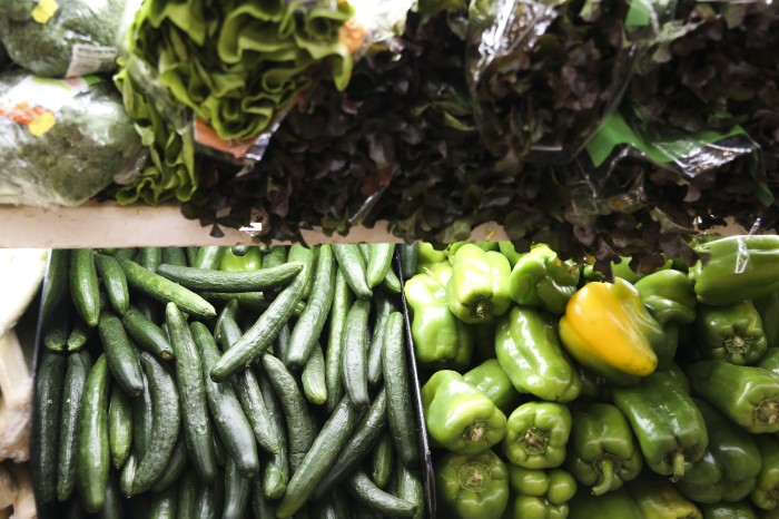 Feira Nacional da Reforma Agrária começa quinta-feira em São Paulo