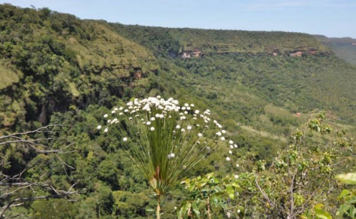 Patrimônio natural do Tocantins, o Parque Estadual do Lajeado completa 22 anos nesta quinta-feira, 11