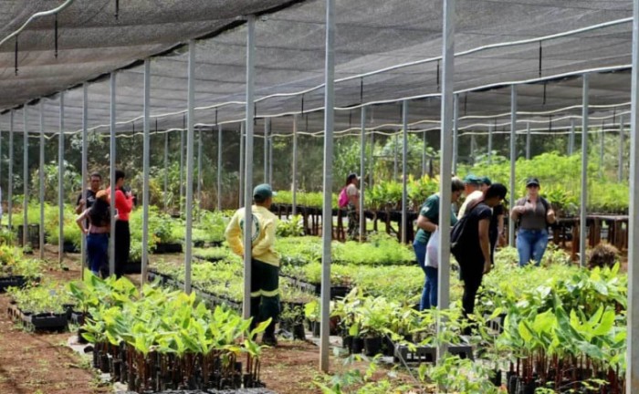 Naturatins realiza programação especial para celebrar os 22 anos do Parque Estadual do Lajeado