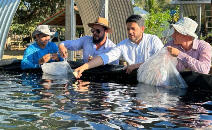 Ruraltins apresenta circuito tecnológico de piscicultura na Agrotins 2023