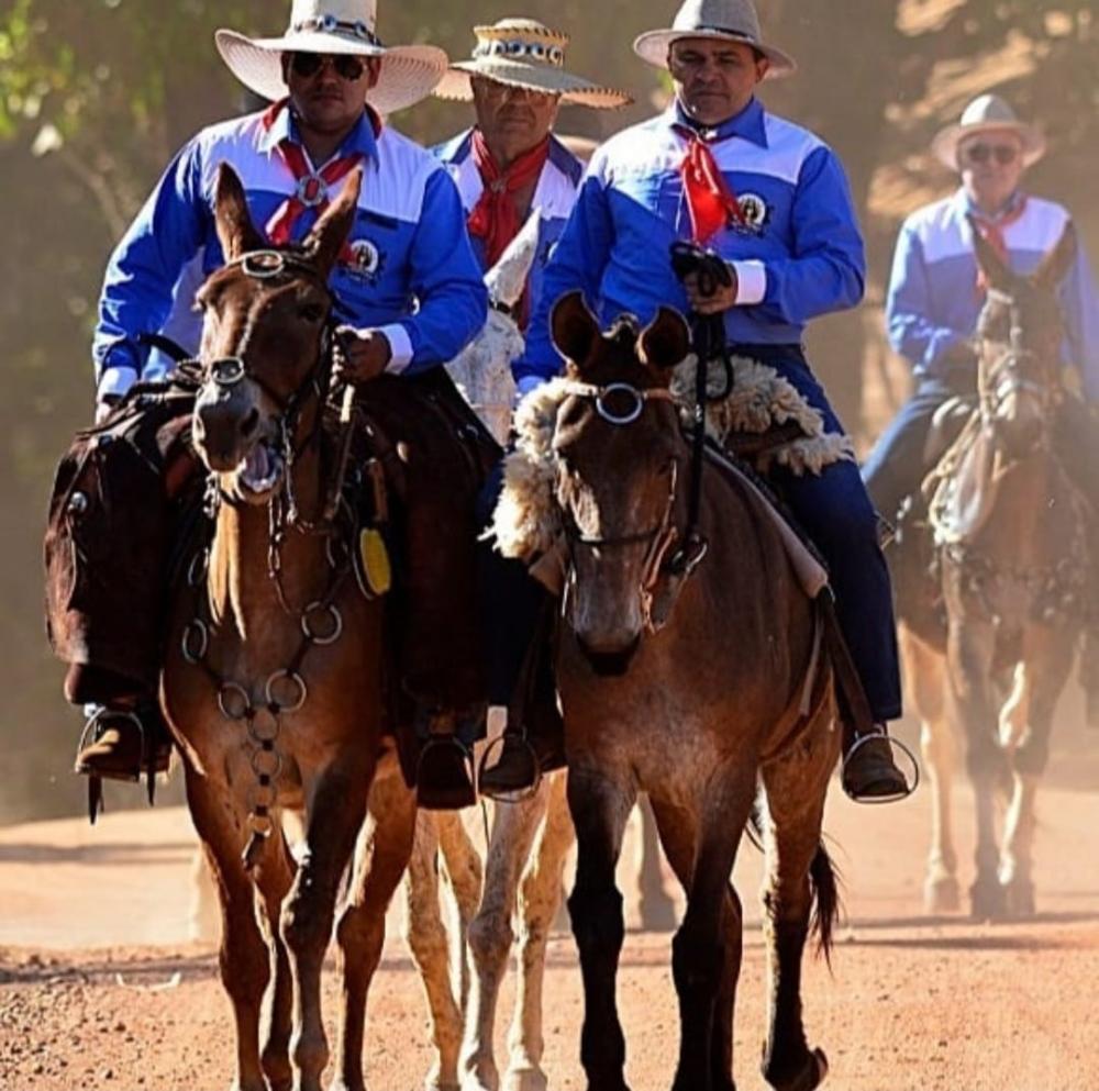 Projeto de lei do vereador Major Negreiros reconhece cavalgadas como patrimônio cultural em Palmas.