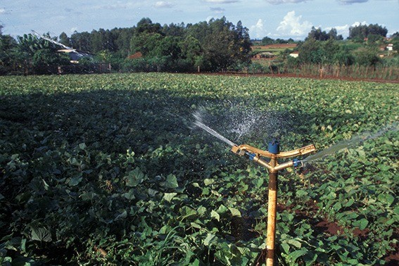 Agência seleciona consultor para analisar aspectos legais da regulamentação da compensação financeira de usuários que tiveram uso da água suspenso