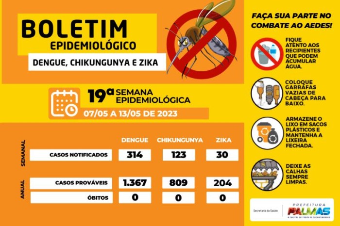 Semus registra 314 notificações de dengue na última semana epidemiológica