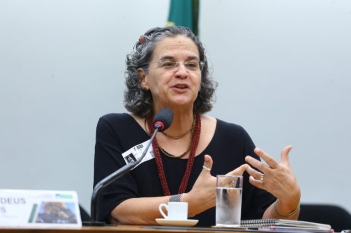 Ambientalistas apontam urgência na restauração da Mata Atlântica