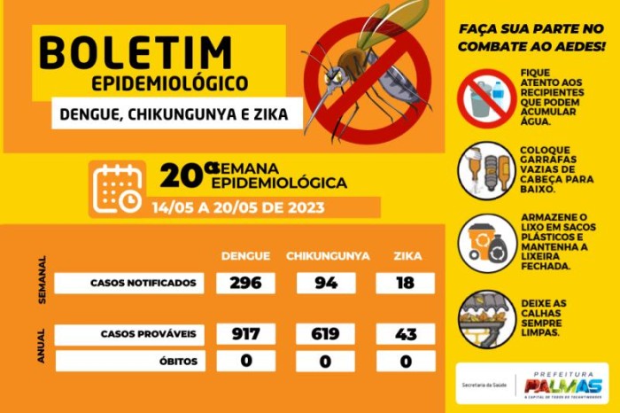 Boletim aponta 296 casos notificados para dengue na 20ª semana epidemiológica do ano