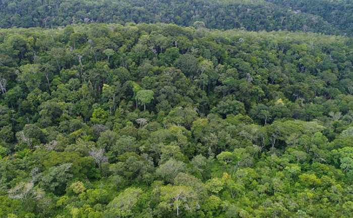 Tocantins sedia encontro de representantes de órgãos ambientais estaduais 