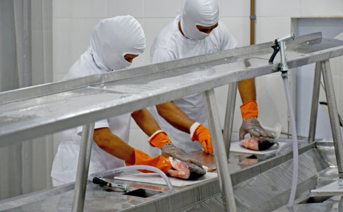 Governo do Tocantins recebe autorização do Ministério da Agricultura para ampliação do Sisbi ao setor de pescado