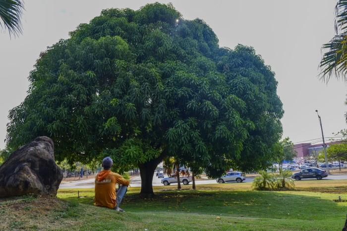 FMA realiza Semana do Meio Ambiente entre dias 5 e 13 de Junho