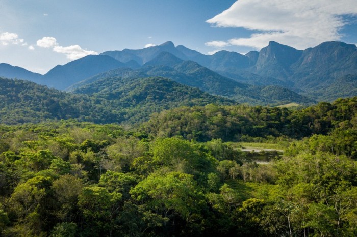 Lei que aumenta prazo para regularização ambiental é sancionada
