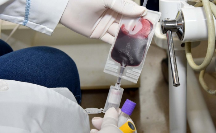 SES-TO divulga o funcionamento da Hemorrede Tocantins no feriado prolongado