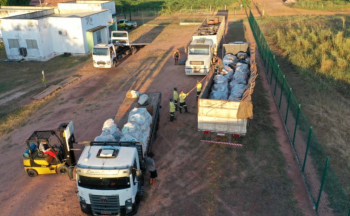 Materiais fósseis são repatriados ao Tocantins