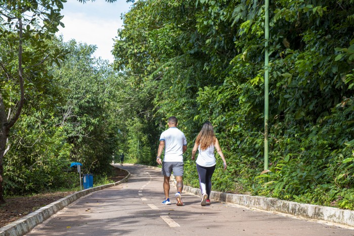 Prefeitura de Palmas intensifica medidas preventivas para proteger a população contra a febre maculosa