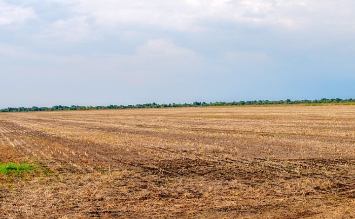 Medida de controle da ferrugem asiática, vazio sanitário da soja começa dia 1° de julho