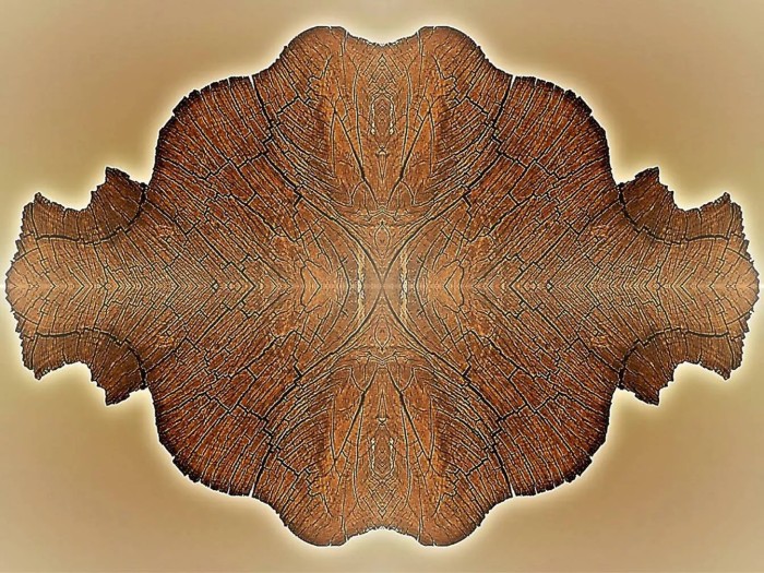 Galeria Municipal de Palmas recebe exposição Amazonizar-se nesta sexta-feira, 30