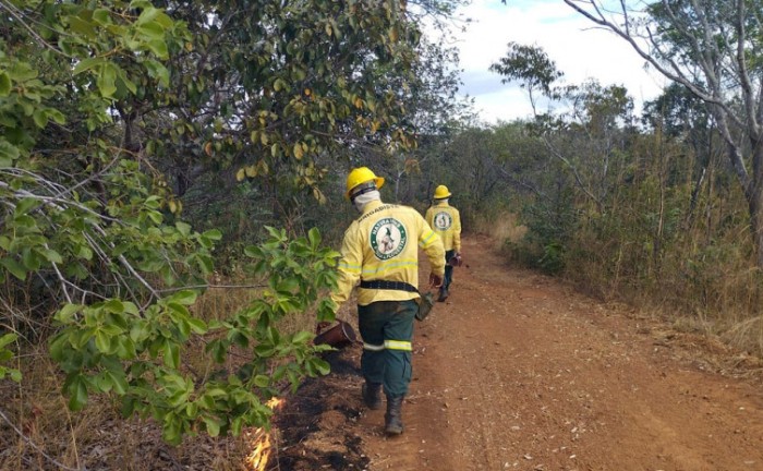 Naturatins inicia queima prescrita no Parque Estadual do Cantão