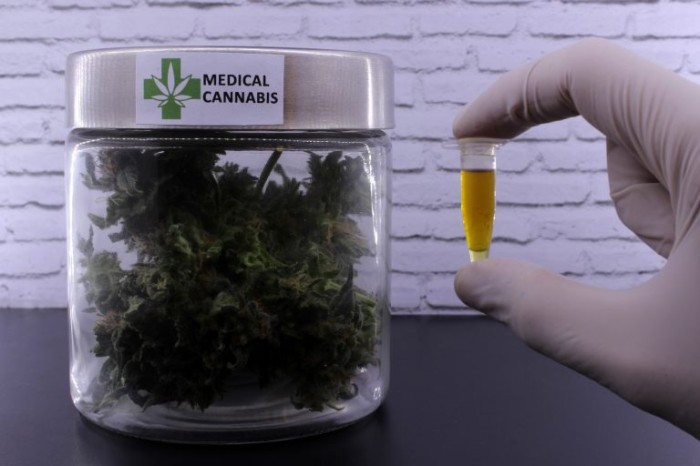 Comissão debate uso da Cannabis para fins medicinais