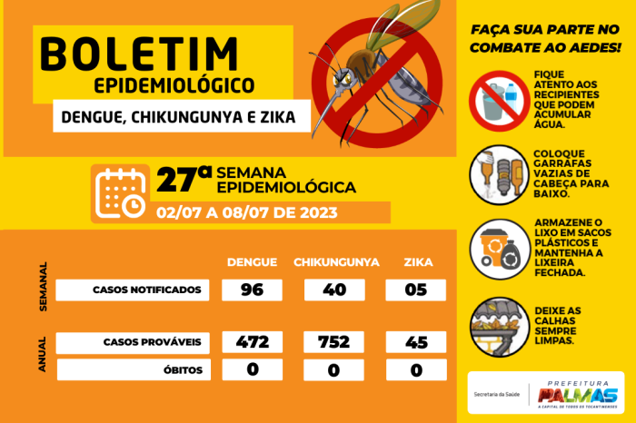 Palmas tegistra 96 casos suspeitos de dengue nesta quarta, 12