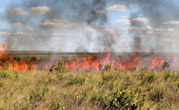 Naturatins suspende a emissão e a vigência das autorizações de queima controlada em todo o Tocantins