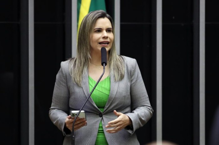 Projeto prevê preservação de fragmentos do feto em aborto realizado por conta de estupro