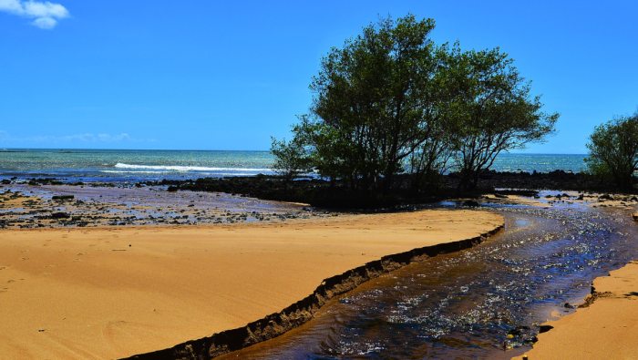 Candidatos ao curso de Turismo Responsável terão até final de setembro para realizar a matrícula
