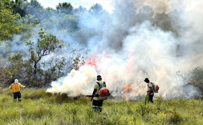 Naturatins realiza oficina para brigadistas da Área de Proteção Ambiental e Parque Estadual do Jalapão nesta sexta, 21