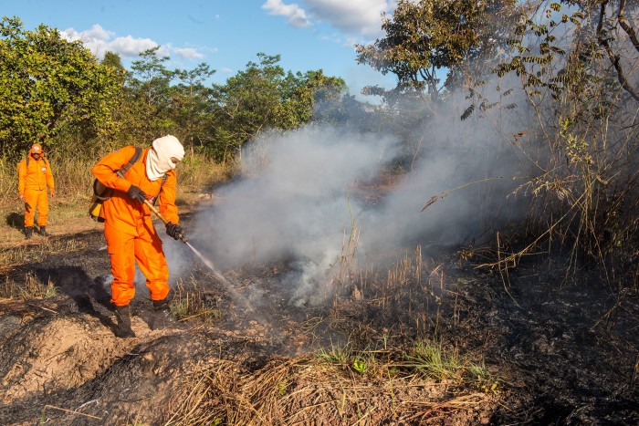 Palmas contará com 16 brigadistas para o combate a queimadas em 2023