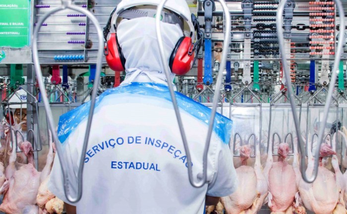 Governo do Tocantins toma medidas de precaução contra gripe aviária