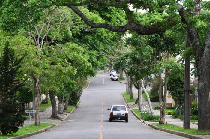Senado pode aprovar Política Nacional de Arborização Urbana