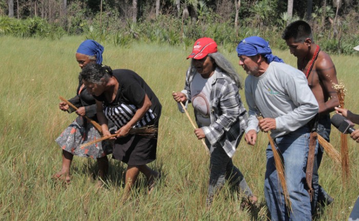 Naturatins orienta sobre fim do prazo para emissão de licença de manejo do capim-dourado e buriti que encerra na próxima segunda-feira, 31