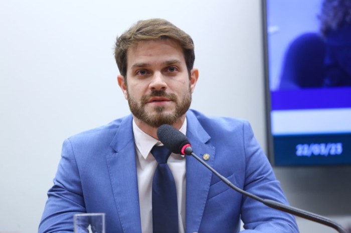 Projeto reconhece a expressão “vira-lata caramelo” como manifestação cultural imaterial do Brasil