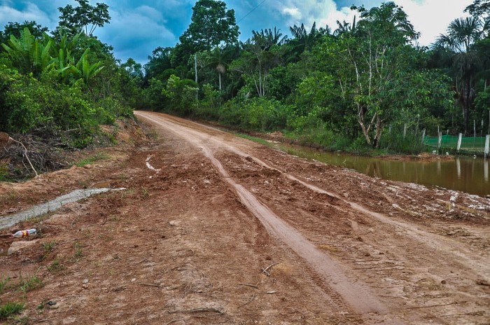 Ambientalistas denunciam desmatamento às margens de rodovia amazônica