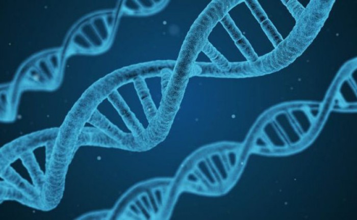 Governo do Tocantins celebra incorporação do Estado à Rede Integrada de Bancos de Perfis Genéticos