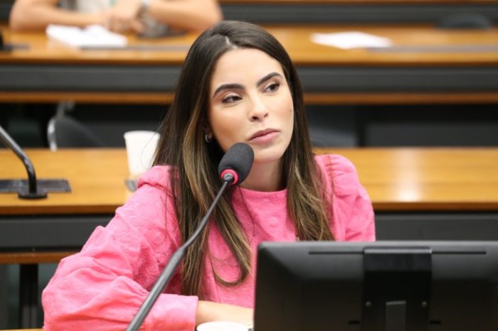 Comissão aprova isenção de IPI para compra de carro por microempresária vítima de violência doméstica