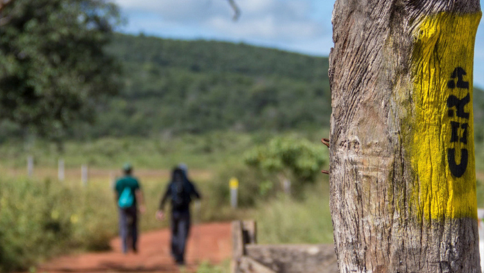 Saiba qual a importância da Rede Trilhas para o turismo do Brasil