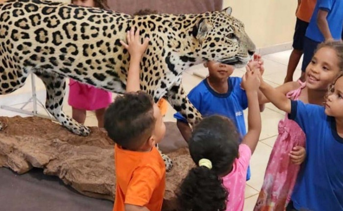 Crianças das unidades educacionais de Mateiros visitam exposição de animais taxidermizados em programação alusiva ao Dia do Cerrado