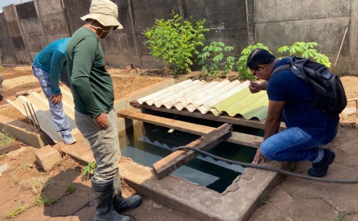 SES-TO investiga presença de caramujos em Colinas