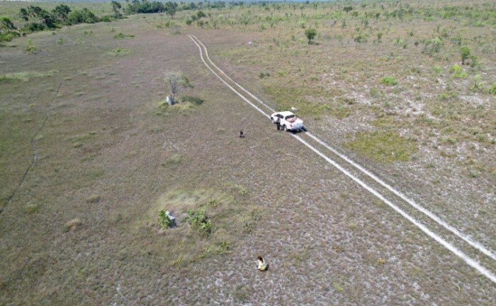 Governo do Tocantins intensifica ações de fiscalização nos campos de capim-dourado