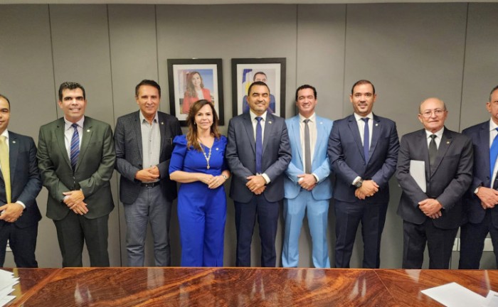 Governo do Tocantins define com parlamentares federais prioridades para destinação de recursos no orçamento de 2024