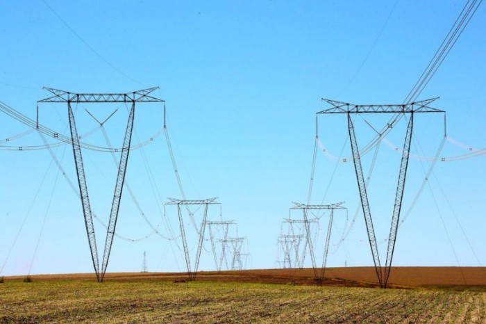 Comissão vai debater prevenção a choques elétricos em animais