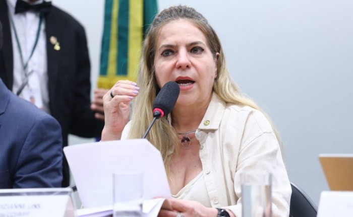 Comissão debate proteção dos direitos digitais